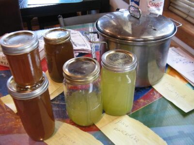 Canning Cold-Pressed Fruit Juice